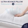 imagedownluxe Down Alternative Pillows King Size Set of 2  Hotel Collection Soft Bed Pillows for Sleeping Perfect for Side Back and Stomach Sleepers 20 X 36Vertical Stripes