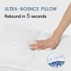 imagedownluxe Down Alternative Pillows King Size Set of 2  Hotel Collection Soft Bed Pillows for Sleeping Perfect for Side Back and Stomach Sleepers 20 X 36Horizontal Stripes