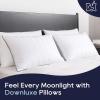 imagedownluxe Down Alternative Pillows King Size Set of 2  Hotel Collection Soft Bed Pillows for Sleeping Perfect for Side Back and Stomach Sleepers 20 X 36Vertical Stripes