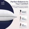 imagedownluxe Down Alternative Pillows King Size Set of 2  Hotel Collection Soft Bed Pillows for Sleeping Perfect for Side Back and Stomach Sleepers 20 X 36Vertical Stripes