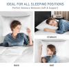 imagedownluxe Down Alternative Pillows King Size Set of 2  Hotel Collection Soft Bed Pillows for Sleeping Perfect for Side Back and Stomach Sleepers 20 X 36Horizontal Stripes