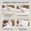 imagedownluxe Goose Feather and Down Pillows  Hotel Collection Feather Pillows Set of 2 for Back Stomach or Side Sleepers Queen Size 20quotx28quotClassic Horizontal Stripes