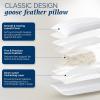 imagedownluxe Goose Feather and Down Pillows  Hotel Collection Feather Pillows Set of 2 for Back Stomach or Side Sleepers Queen Size 20quotx28quotClassic Horizontal Stripes