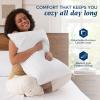 imagedownluxe Goose Feather and Down Pillows  Hotel Collection Feather Pillows Set of 2 for Back Stomach or Side Sleepers Queen Size 20quotx28quotClassic Horizontal Stripes