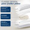 imagedownluxe Goose Feather and Down Pillows  Hotel Collection Feather Pillows Set of 2 for Back Stomach or Side Sleepers Queen Size 20quotx28quotClassic Vertical Stripes
