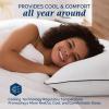 imagedownluxe Goose Feather and Down Pillows  Hotel Collection Feather Pillows Set of 2 for Back Stomach or Side Sleepers Queen Size 20quotx28quotClassic Vertical Stripes