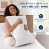 imagedownluxe Goose Feather and Down Pillows  Hotel Collection Feather Pillows Set of 2 for Back Stomach or Side Sleepers Queen Size 20quotx28quotClassic Vertical Stripes