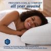 imagedownluxe Goose Feather and Down Pillows  Hotel Collection Feather Pillows Set of 2 for Back Stomach or Side Sleepers Queen Size 20quotx28quotGusseted Horizontal Stripes