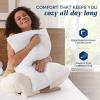 imagedownluxe Goose Feather and Down Pillows  Hotel Collection Feather Pillows Set of 2 for Back Stomach or Side Sleepers Queen Size 20quotx28quotGusseted Horizontal Stripes