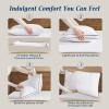 imagedownluxe Goose Feather and Down Pillows  Hotel Collection Feather Pillows Set of 2 for Back Stomach or Side Sleepers Queen Size 20quotx28quotGusseted Vertical Stripes