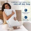 imagedownluxe Goose Feather and Down Pillows  Hotel Collection Feather Pillows Set of 2 for Back Stomach or Side Sleepers Queen Size 20quotx28quotGusseted Vertical Stripes
