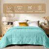 imagedownluxe Weighted Blanket King Size 18 lb Weighted Blanket with Glass Beads for All Season Machine Washable Heavy Blanket White 108 X 90 InchMint Green