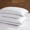 imagedownluxe Goose Feather and Down Pillows  Hotel Collection Feather Pillows Set of 2 for Back Stomach or Side Sleepers Queen Size 20quotx28quotClassic Vertical Stripes