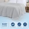 imagedownluxe Cooling Comforter Queen Size Cooling Blankets for Hot Sleepers Cold Blanket Summer Comforter with QMaxampgt04 ArcChill Cooling Fiber Light BlueLight Grey