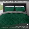 imagedownluxe Queen Comforter Set  Charcoal and Grey Queen Comforter Soft Bedding Sets for All Seasons 3 Pieces  1 Comforter 88quotx92quot and 2 Pillow Shams20quotx26quotBlackish GreenGray