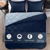 imagedownluxe Queen Comforter Set  Charcoal and Grey Queen Comforter Soft Bedding Sets for All Seasons 3 Pieces  1 Comforter 88quotx92quot and 2 Pillow Shams20quotx26quotBlueSapphire