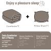 imagedownluxe UltraSoft Micromink Sherpa Queen Comforter Set with 2 Pillow Shams  3Piece Set  Dark Grey  Plush Warm Fall Winter Bedding Comforter SetsSand