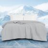 imagedownluxe Cooling Comforter Queen Size Cooling Blankets for Hot Sleepers Cold Blanket Summer Comforter with QMaxampgt04 ArcChill Cooling Fiber Light BlueLight Grey