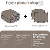 imagedownluxe Micromink Sherpa King Comforter Set  Fluffy Bedding Gray 3D Puff Grid Ultra Soft amp Warm Plush Comforter for Winter 1 Comforter 2 Pillowcases01  Fleece  Sand
